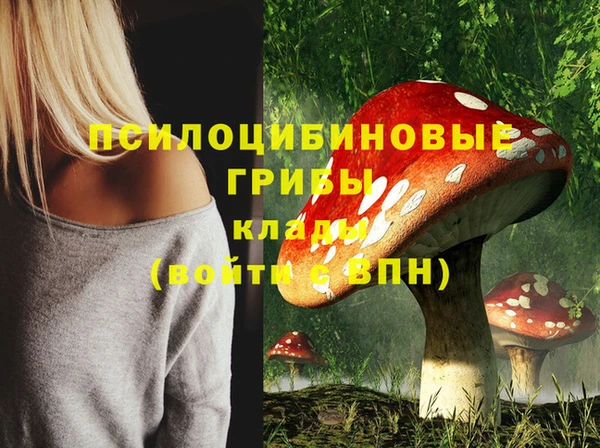 дмт Мегион