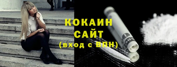 дмт Мегион