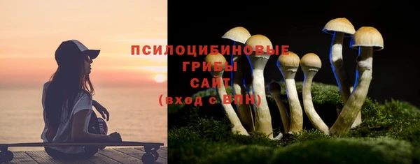 дмт Мегион
