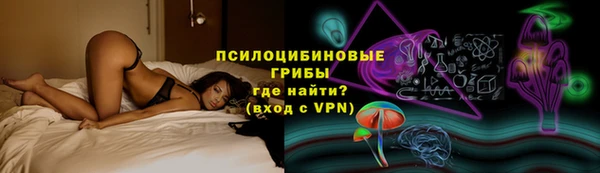 дмт Мегион