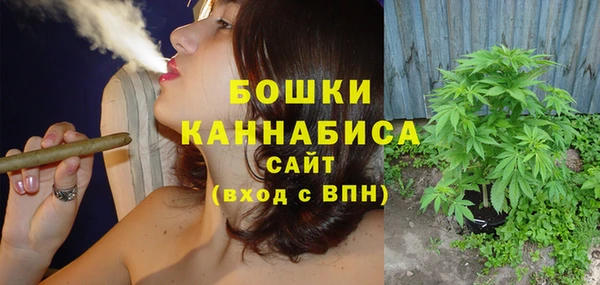 дмт Мегион