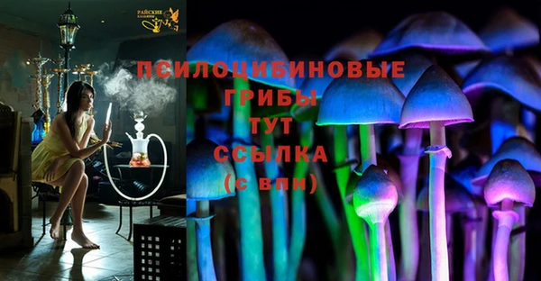 а пвп мука Снежинск