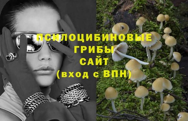 MDMA Premium VHQ Снежногорск