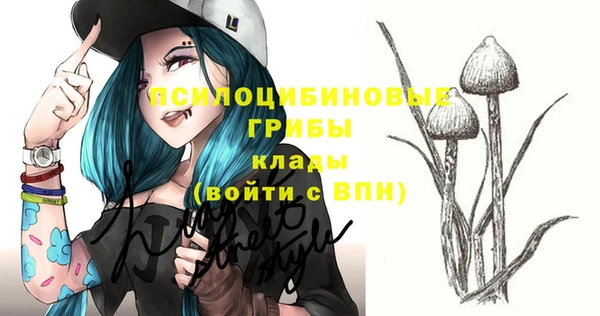 таблы Медногорск
