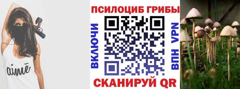 наркошоп  Орск  Галлюциногенные грибы мухоморы 